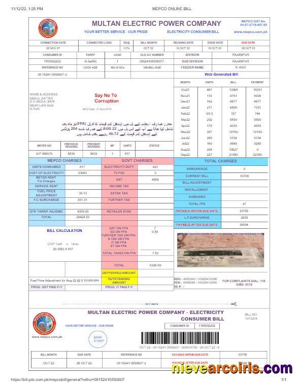 PAKISTAN MULTAN ELECTRIC POWER utility bill, version 2